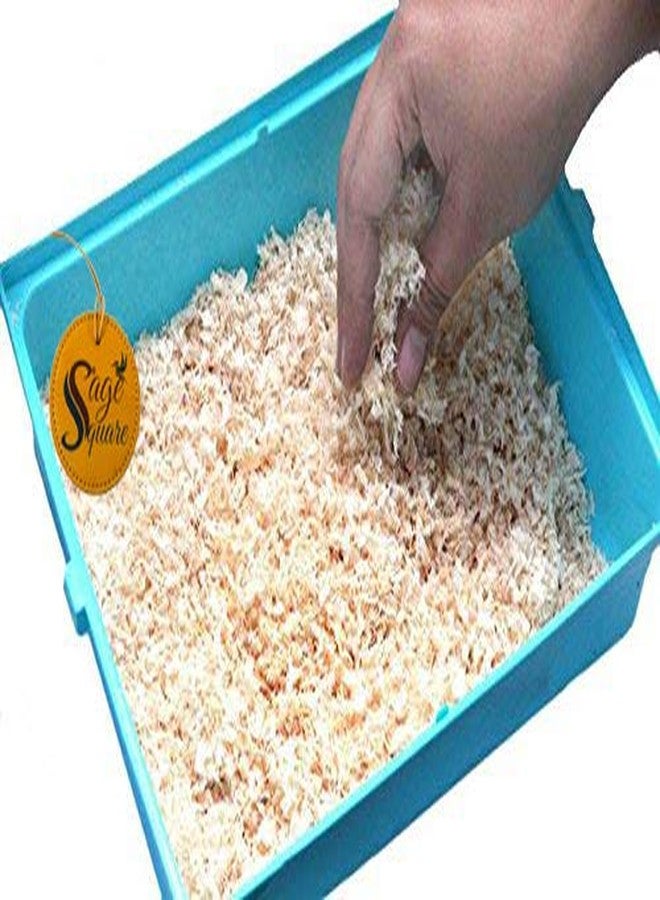 سايج سكوير كيلوغرام واحد من نشارة الخشب الطبيعي الناعم، يُستخدم كفرش ومأوى لجميع أنواع الطيور - Image 2